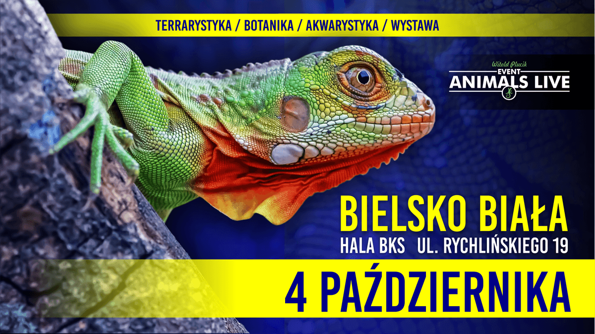 Animals Live BIELSKO-BIAŁA 4 Października 2026 Terrarystyka & Akwarystyka & Botanika & Wystawy 