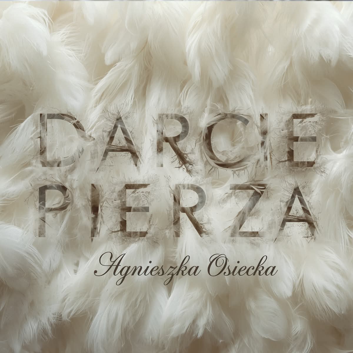 Darcie Pierza - PREMIERA
